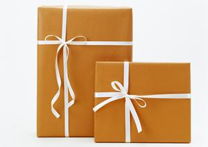 愛犬に食を与える無添加ドッグフード